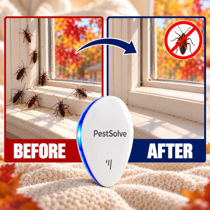 Before and after: boxelder bugs on the windowsill, then a clear windowsill with PestSolve