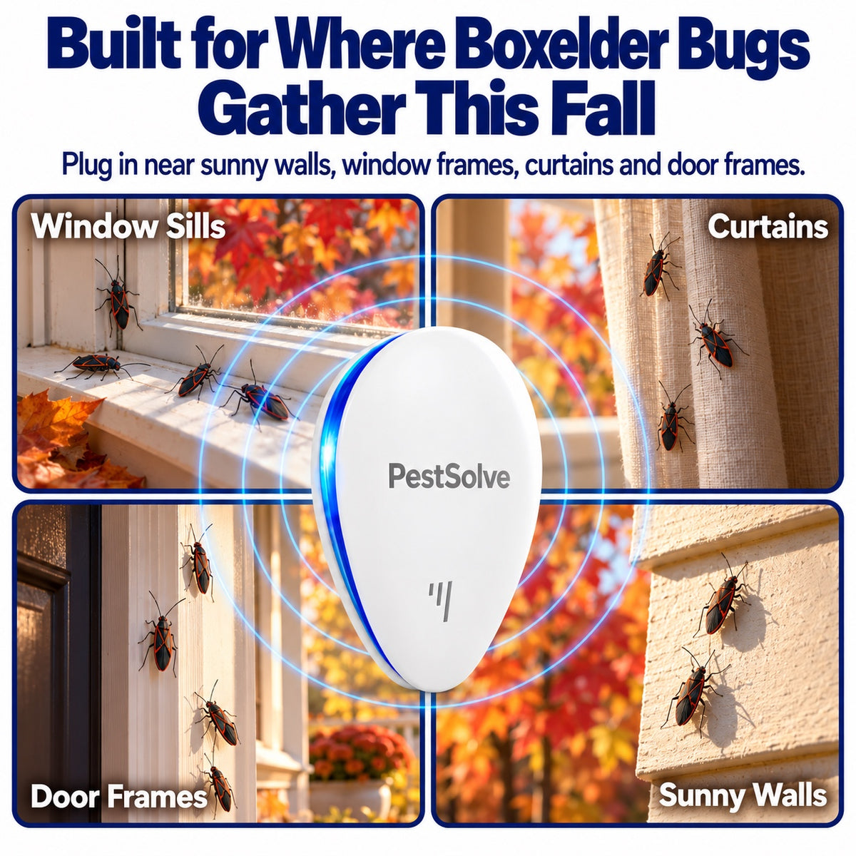 Built for where boxelder bugs gather this fall: window sills, curtains, door frames and sunny walls