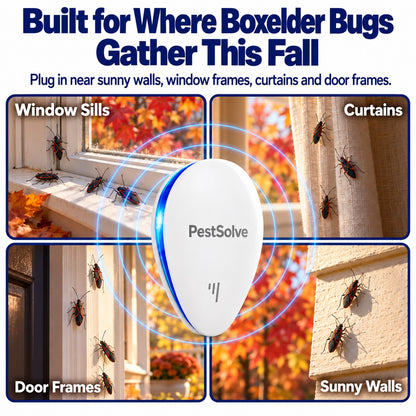 Built for where boxelder bugs gather this fall: window sills, curtains, door frames and sunny walls