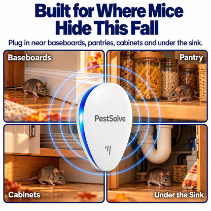 Built for where mice hide this fall: baseboards, pantry, cabinets and under the sink