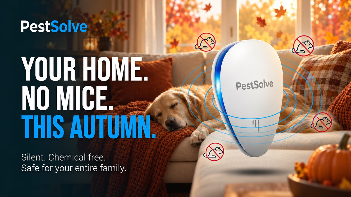 Your home. No mice. This autumn. PestSolve banner