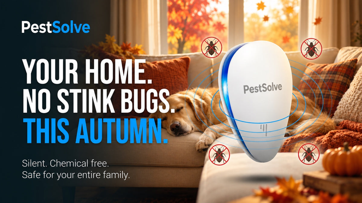 Your home. No stink bugs. This autumn. PestSolve banner