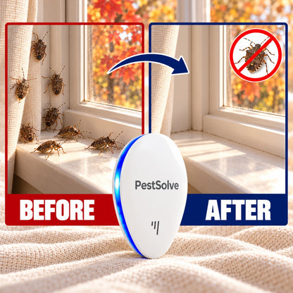 Before and after: stink bugs on the windowsill, then a clear windowsill with PestSolve